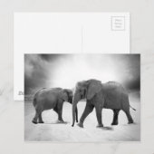 Afrikaanse olifanten briefkaart (Voorkant / Achterkant)
