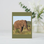 Afrikaanse olifanten briefkaart (Staand voorkant)