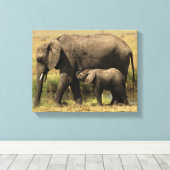 Afrikaanse olifanten canvas afdruk (Insitu (Houten vloer))