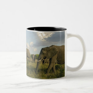 Afrikaanse olifanten grazen, Loxodonta africana, Tweekleurige Koffiemok