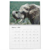 Afrikaanse olifanten in addo-agenda kalender (Feb 2026)