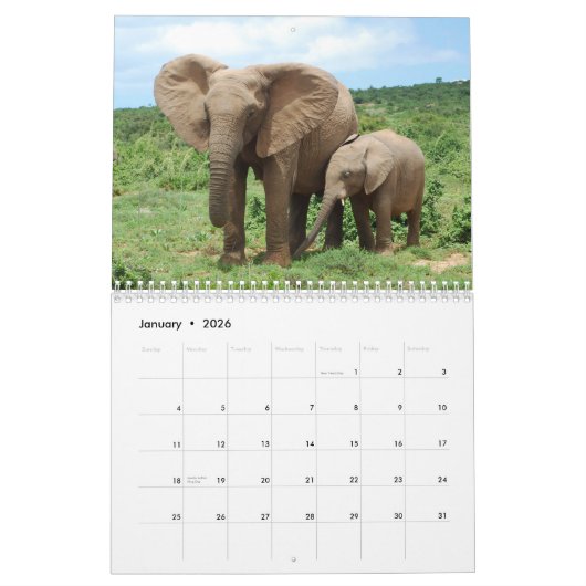 Afrikaanse olifanten in addo-agenda kalender (Jan 2026)