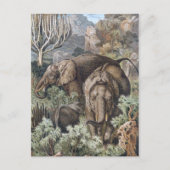 Afrikaanse olifanten in het Oerwoud Briefkaart (Voorkant)