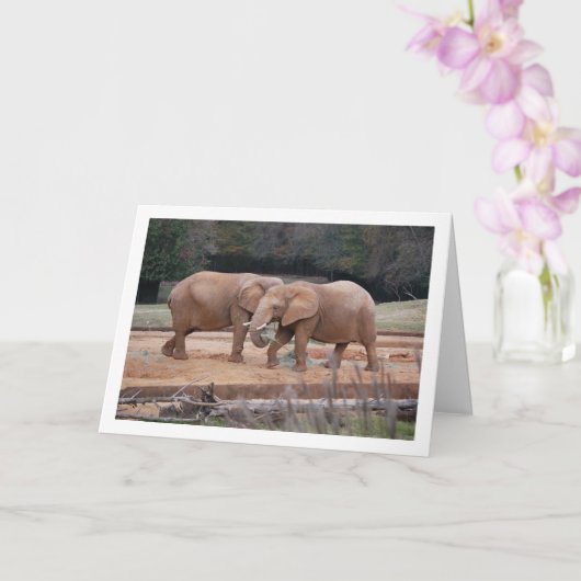 Afrikaanse olifanten kaart (Orchidee)