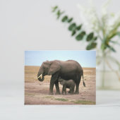 Afrikaanse olifanten - kleine kalveren briefkaart (Staand voorkant)