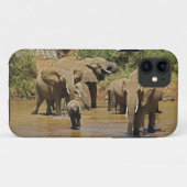 Afrikaanse olifanten, Loxodonta Afriana, Samburu Case-Mate iPhone Case (Achterkant (horizontaal))