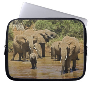 Afrikaanse Olifanten, Loxodonta Africana, Samburu Laptop Sleeve