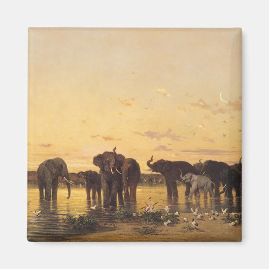 Afrikaanse olifanten magneet (Voorkant)