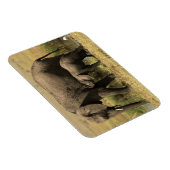 Afrikaanse olifanten magneet (Rechterzijde)