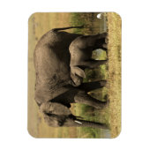 Afrikaanse olifanten magneet (Verticaal)