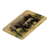 Afrikaanse olifanten magneet (Linkerzijde)