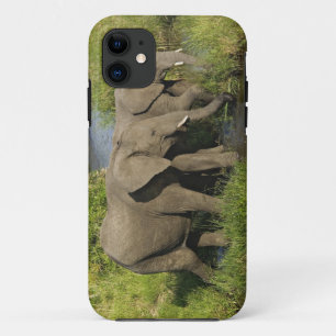 Afrikaanse olifanten Masai Mara iPhone 11 Hoesje
