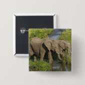 Afrikaanse olifanten Masai Mara Vierkante Button 5,1 Cm (Voorkant /achterkant)