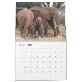 Afrikaanse Olifanten Muurkalender Kalender (Jan 2026)