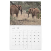 Afrikaanse Olifanten Muurkalender Kalender (Mar 2027)