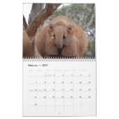 Afrikaanse Olifanten Muurkalender Kalender (Feb 2027)