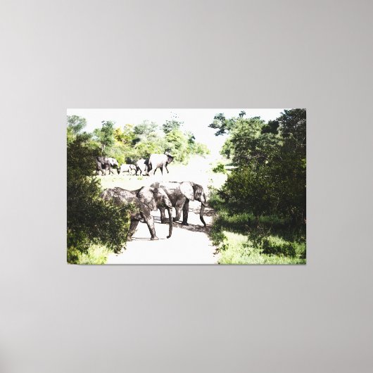 Afrikaanse olifanten over de weg canvas afdruk (Voorkant)
