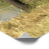 Afrikaanse olifanten poster (Hoek)