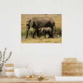 Afrikaanse olifanten poster (Keuken)