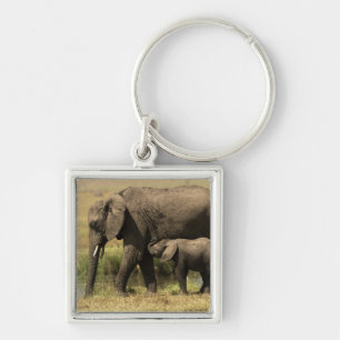 Afrikaanse olifanten sleutelhanger