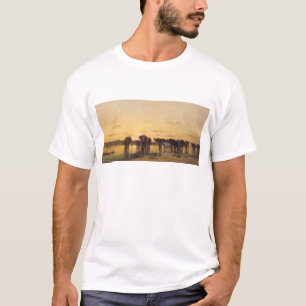 Afrikaanse olifanten t-shirt