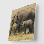 Afrikaanse olifanten vierkante klok (Hoek)