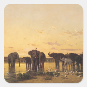 Afrikaanse olifanten vierkante sticker