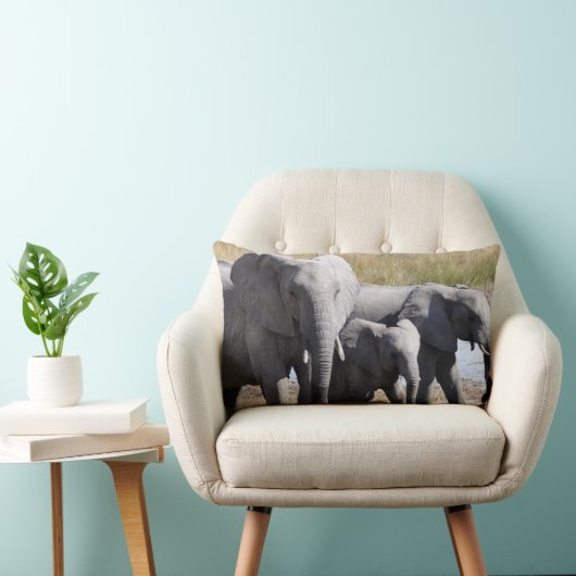 Afrikaanse olifantenbekkens kussen (Stoel)