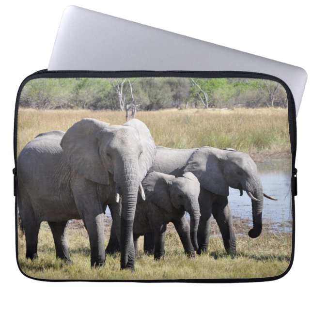Afrikaanse olifantenbekkens laptop sleeve (Voorkant)