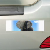 Afrikaanse olifantenBumpersticker Bumpersticker (Op auto)