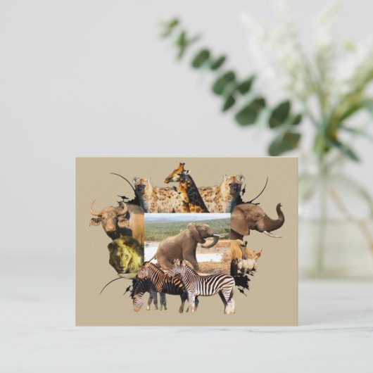 Afrikaanse olifantengroei in het wild Lijst Briefkaart (Staand voorkant)