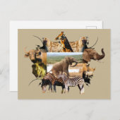 Afrikaanse olifantengroei in het wild Lijst Briefkaart (Voorkant / Achterkant)