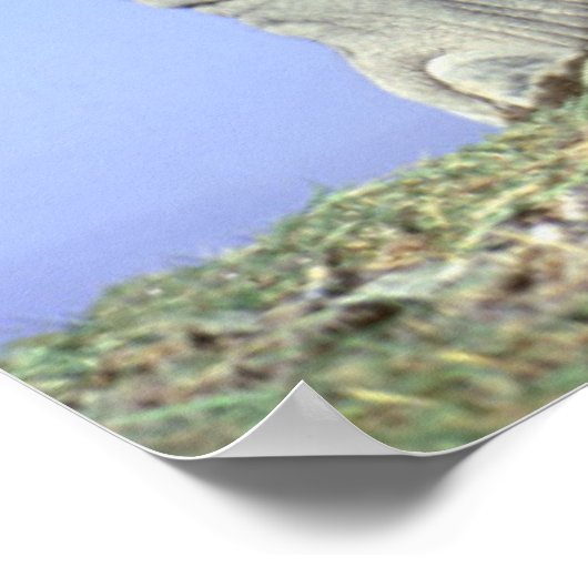 Afrikaanse olifantenkalf poster (Hoek)