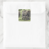 Afrikaanse olifantenkudde, Loxodonta africana, 2 Vierkante Sticker (Tas)