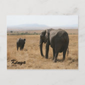 afrikaanse olifantenmoeder briefkaart (Voorkant)