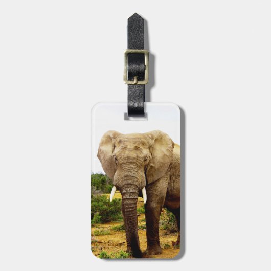 Afrikaanse olifantenstier bagagelabel (Voorkant verticaal)