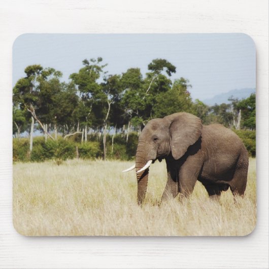 Afrikaanse olifantenstier muismat (Voorkant)