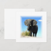 Afrikaanse olifantenuitnodiging kaart (Voorkant / Achterkant)