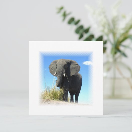 Afrikaanse olifantenuitnodiging kaart (Staand voorkant)