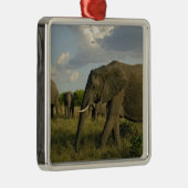 Afrikaanse olifantenweiden, Loxodonta africana, Metalen Ornament (Rechts)