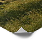 Afrikaanse olifantenweiden, Loxodonta africana, Poster (Hoek)