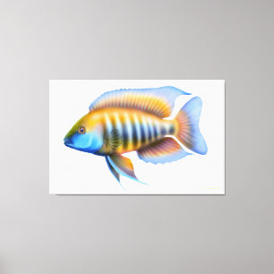 Afrikaanse Peacock Cichlid Fish Wrapped Canvas