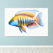 Afrikaanse Peacock Cichlid Fish Wrapped Canvas (Insitu (Houten vloer))
