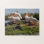 Afrikaanse Pelican Legpuzzel (Horizontaal)
