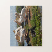 Afrikaanse Pelican Legpuzzel (Verticaal)