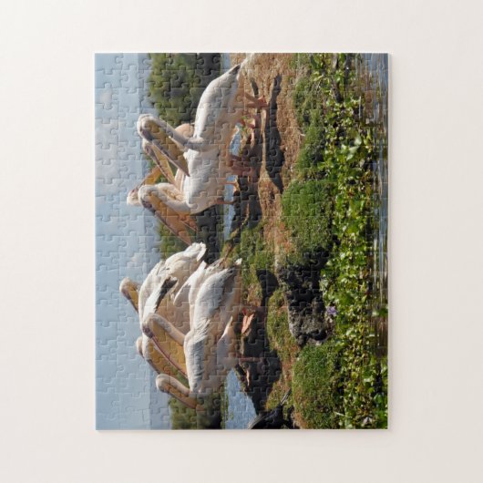 Afrikaanse Pelican Legpuzzel (Verticaal)