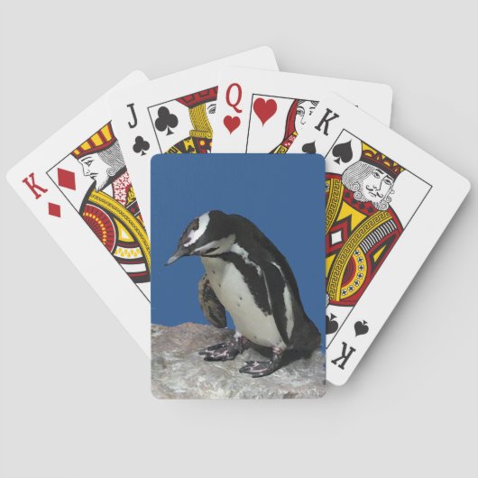 Afrikaanse Penguin-speelkaarten Pokerkaarten (Achterkant)