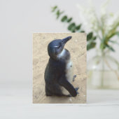 Afrikaanse peper briefkaart (Staand voorkant)