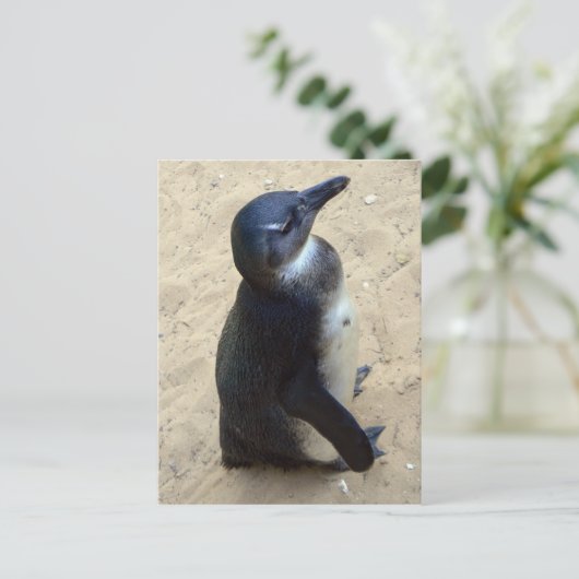 Afrikaanse peper briefkaart (Staand voorkant)