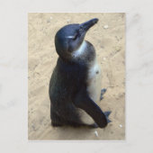 Afrikaanse peper briefkaart (Voorkant)